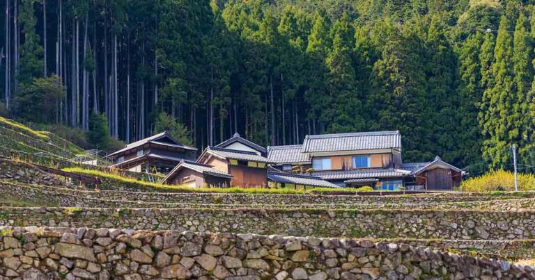 What are akiya houses & how can you buy one? 