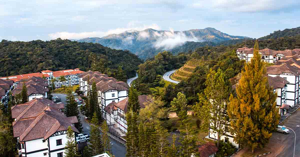 things to do in Cameron Highlands